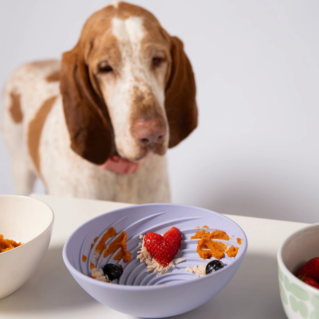 Awoo Wobbowl | Silicone Slow Feeder + Calming Enrichment Toy