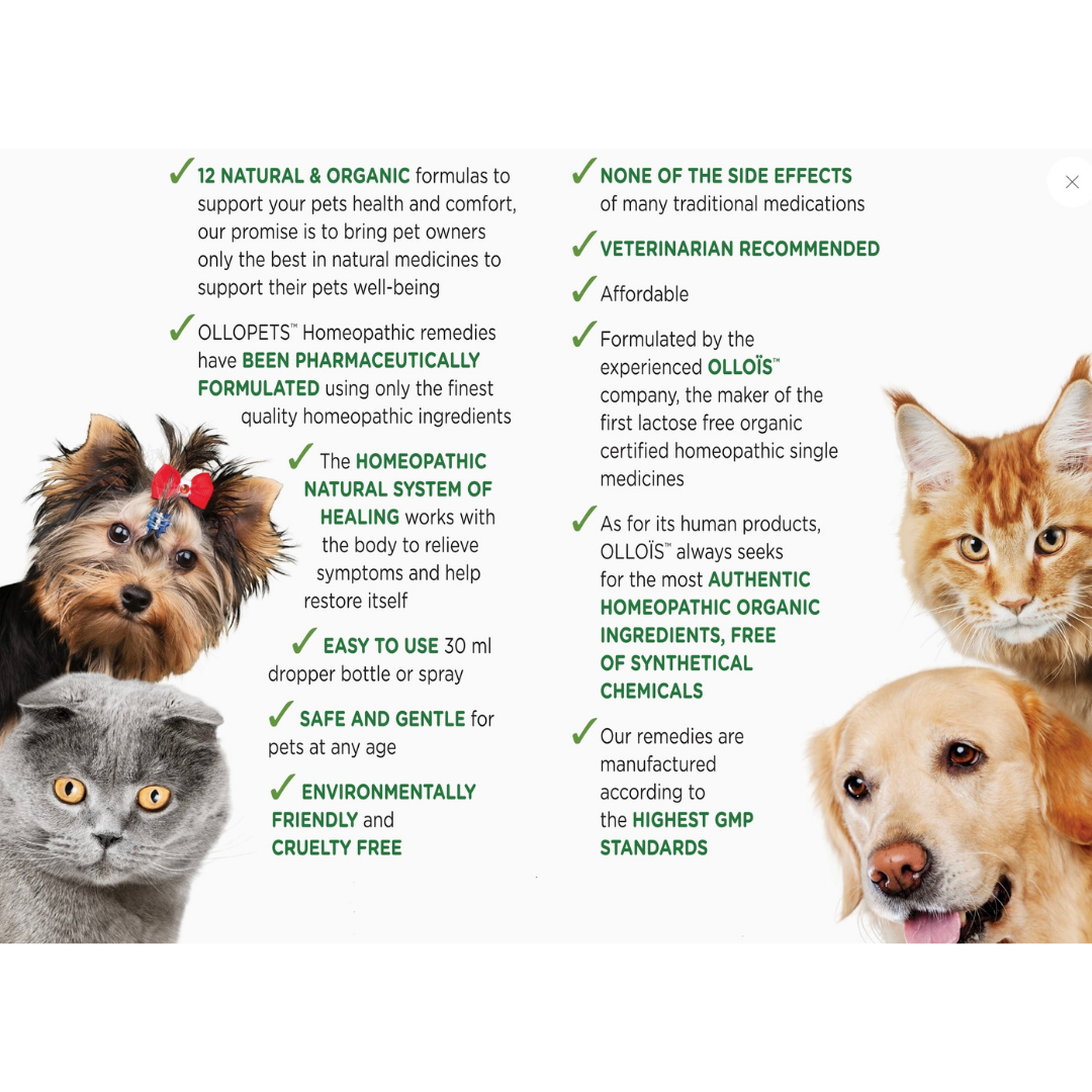 Ollopets Eczema | Homeopathic Itch Relief + Skin Support