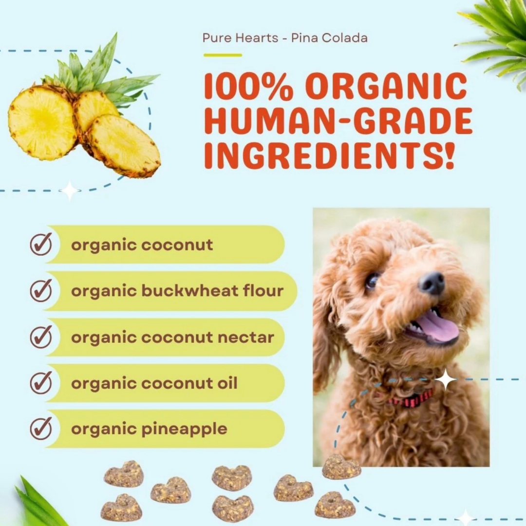 Cocotherapy Organic Coconut Cookies | Piña Colada