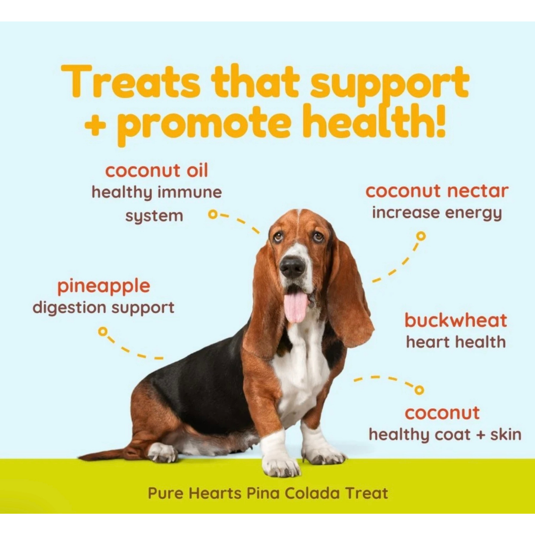 Cocotherapy Organic Coconut Cookies | Piña Colada