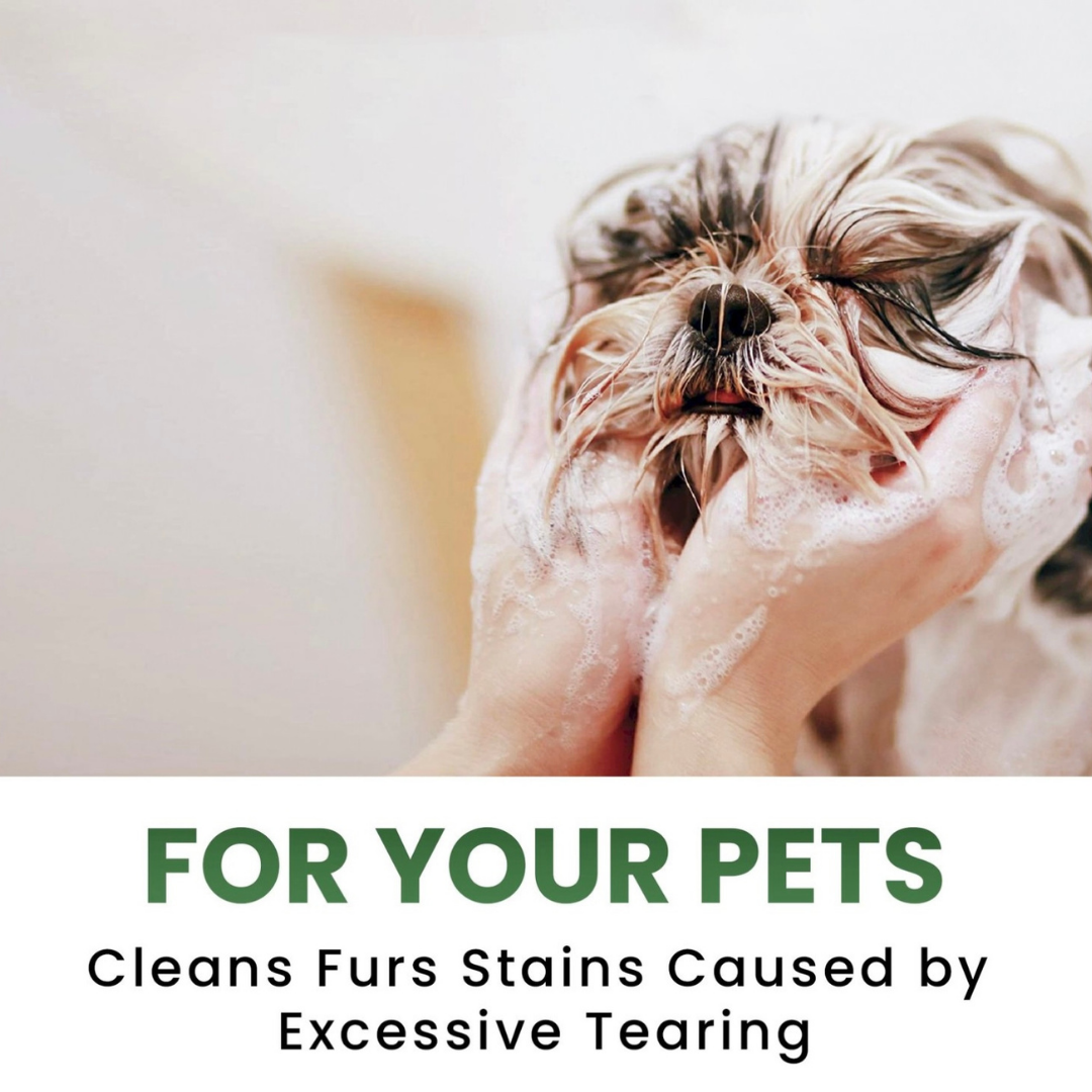 Aroma Paws Facial Scrub | Cucumber + Aloe