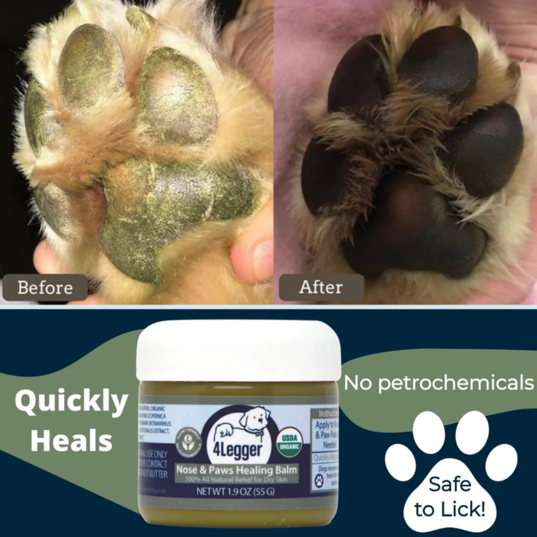 4-Legger Organic Healing Balm | Nose & Paw Pads