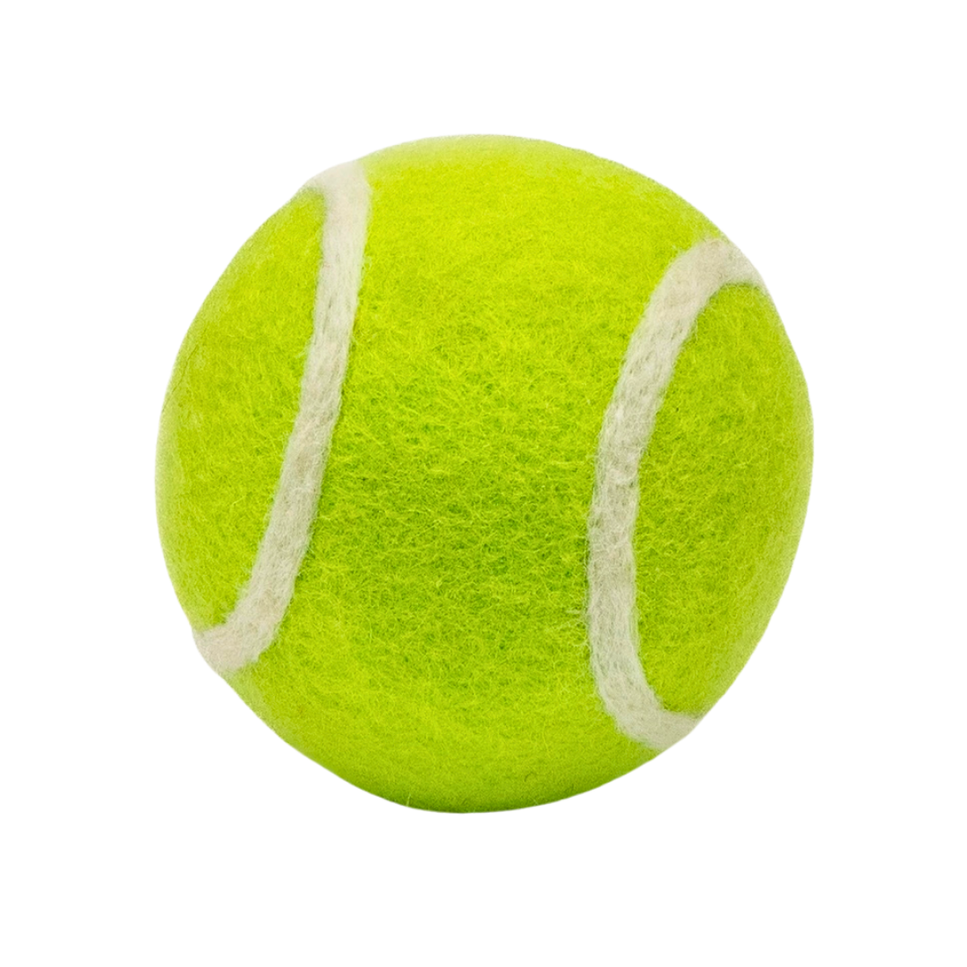 Friendsheep Organic Wool Tennis Dog Ball | Yellow
