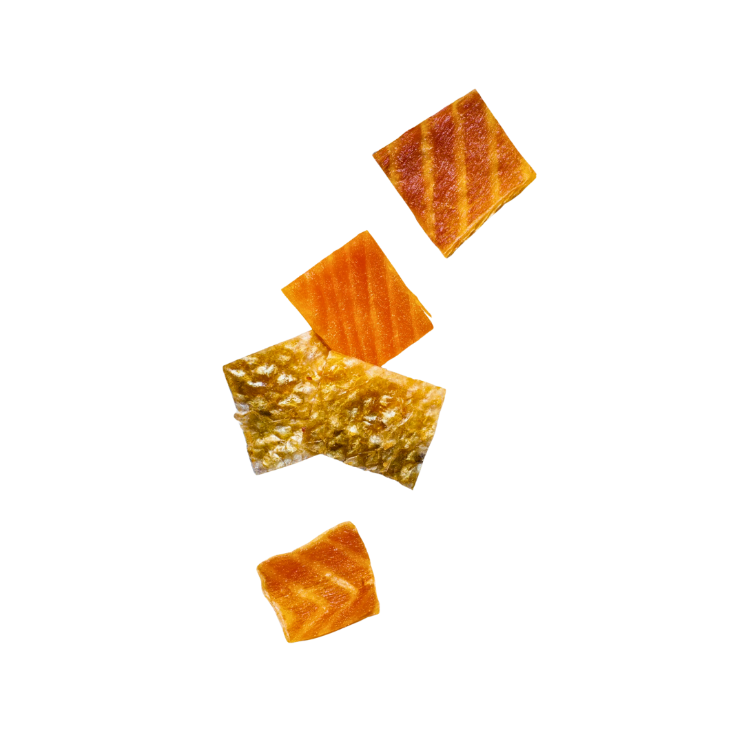 Finfare Freeze-Dried Salmon Skin Bites