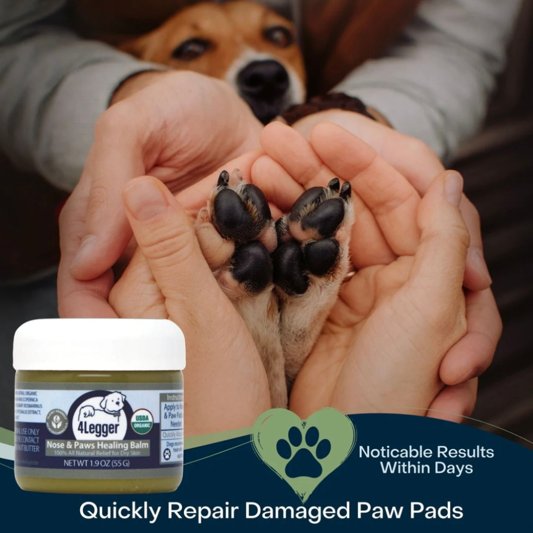 4-Legger Organic Healing Balm | Nose & Paw Pads