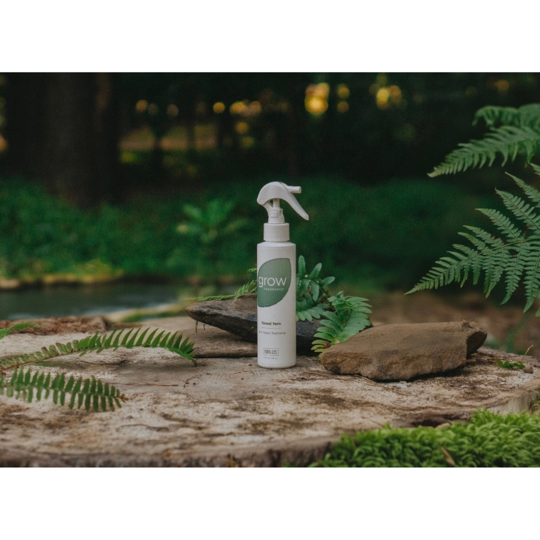 Grow Natural Air Freshener | Forest Fern