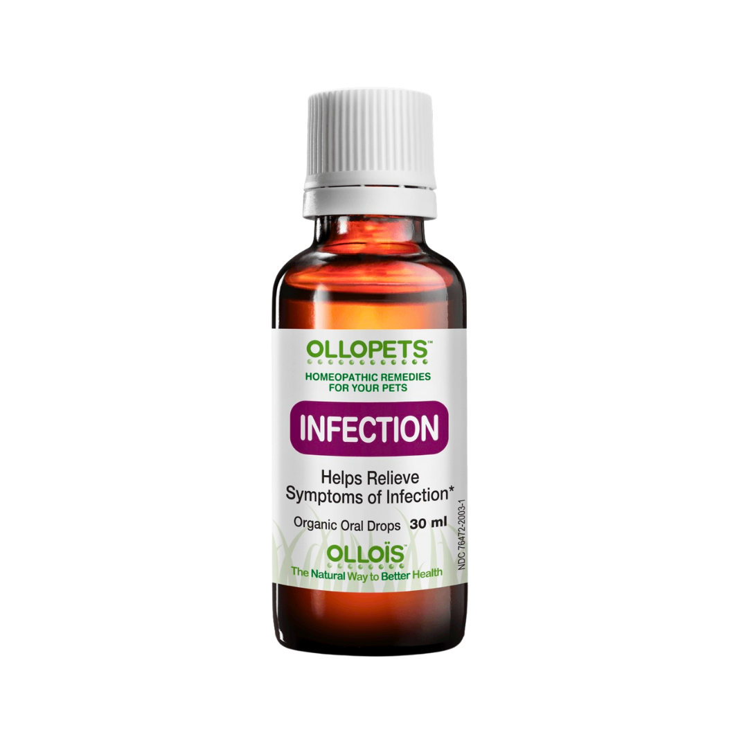 Ollopets Infection | Homeopathic Immune Support