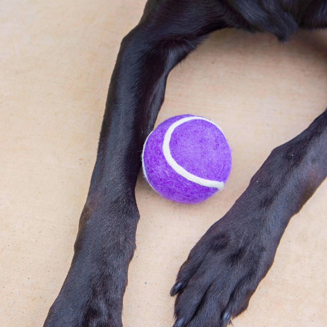 Friendsheep Organic Wool Tennis Dog Ball | Purple