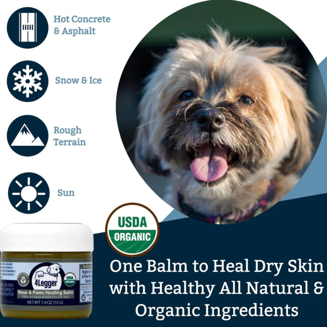 4-Legger Organic Healing Balm | Nose & Paw Pads