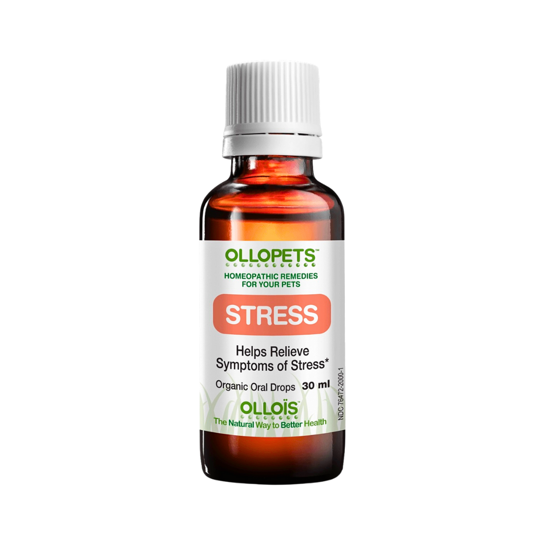 Ollopets Stress | Homeopathic Calming Support