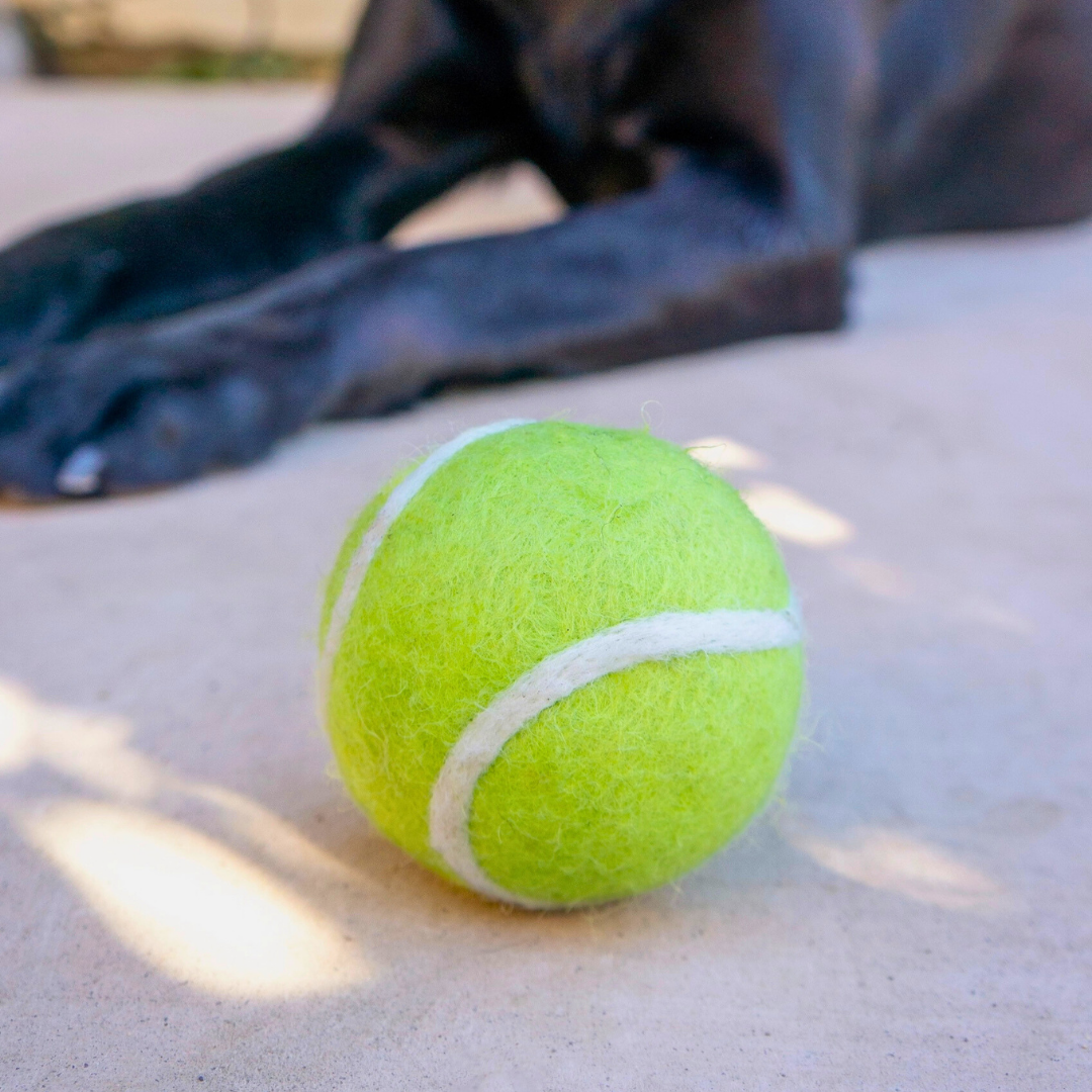 Friendsheep Organic Wool Tennis Dog Ball | Yellow