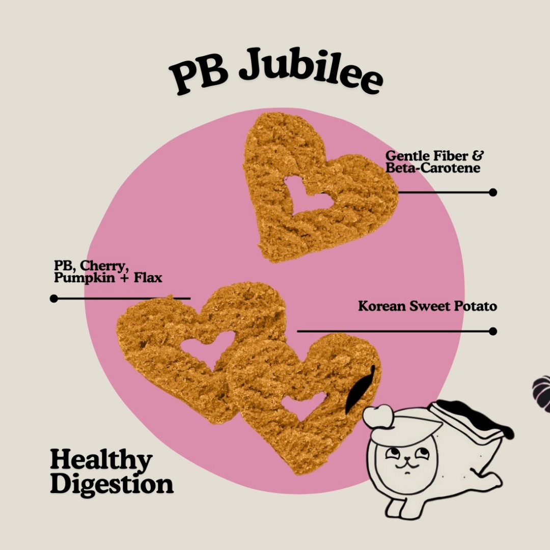 Gogoma Treats Peanut Butter + Pumpkin | Healthy Digestion