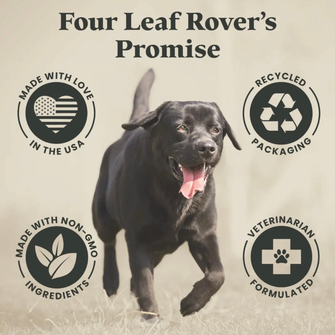 Four Leaf Rover Dog Dental Powder | Plaque, Tartar + Breath Support
