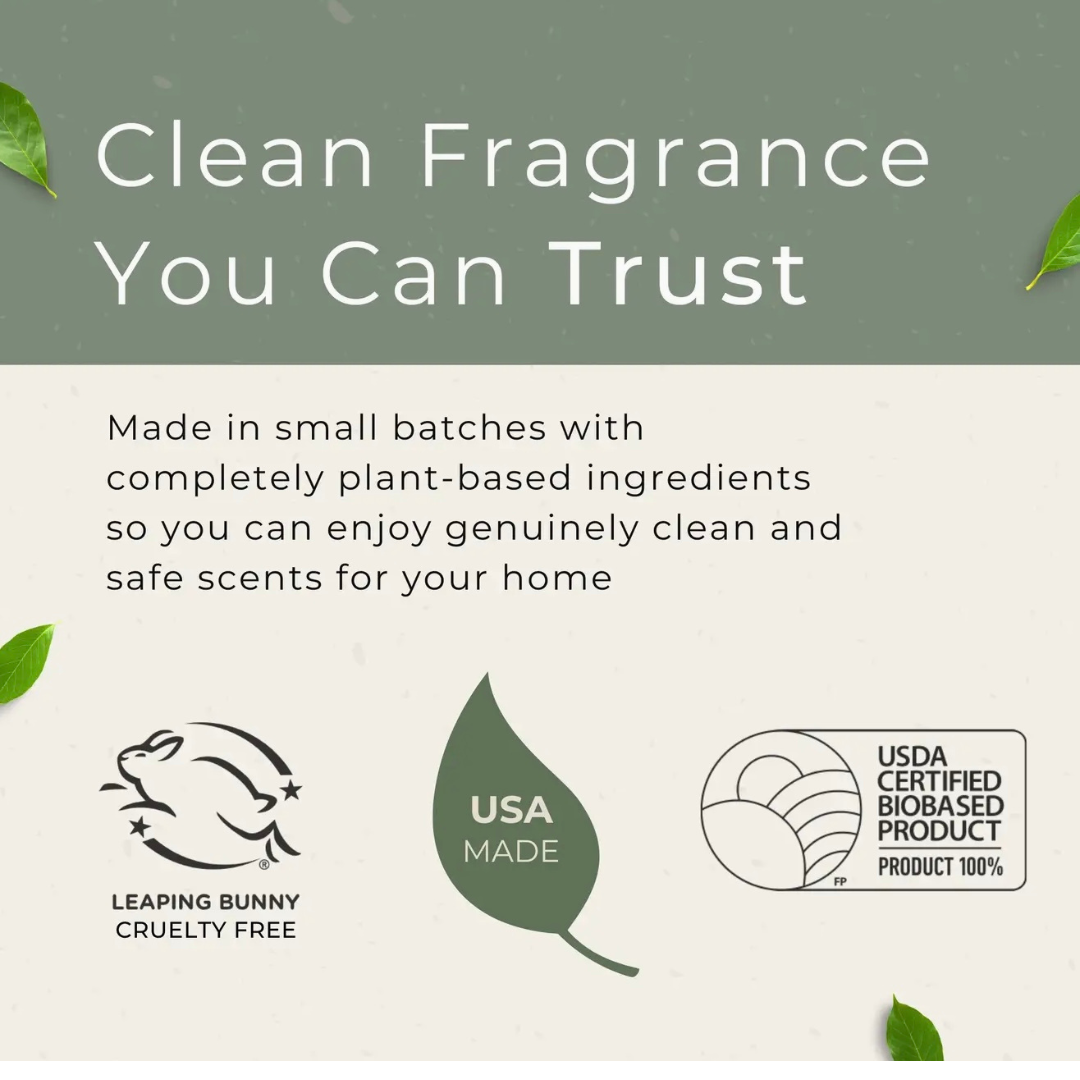 Grow Natural Air Freshener | Forest Fern