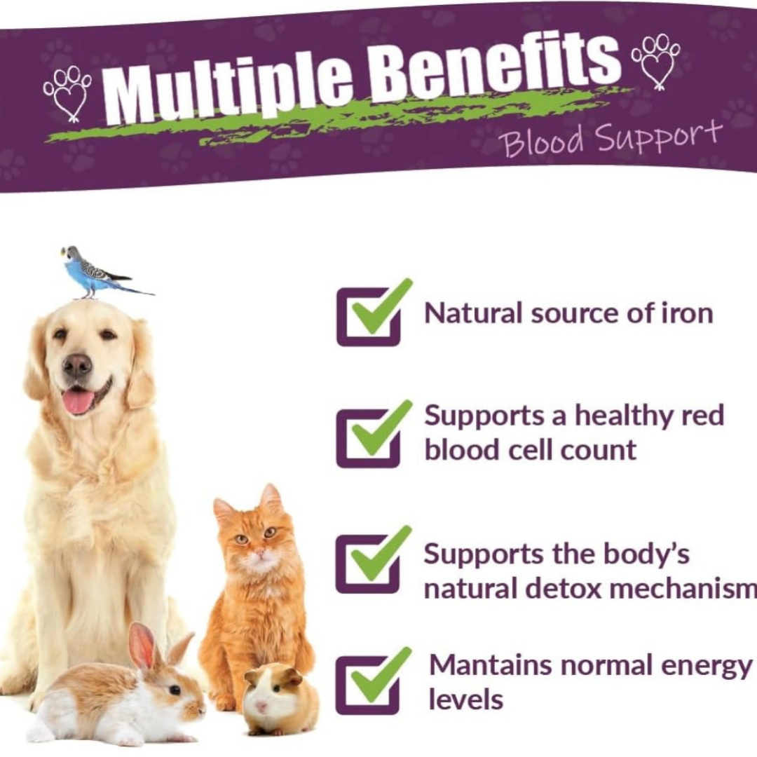 Amber Naturalz Radox | Blood Health + Circulation
