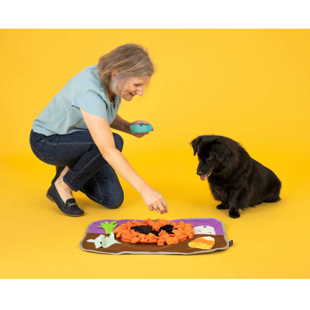PLAY Halloween Snuffle Mat