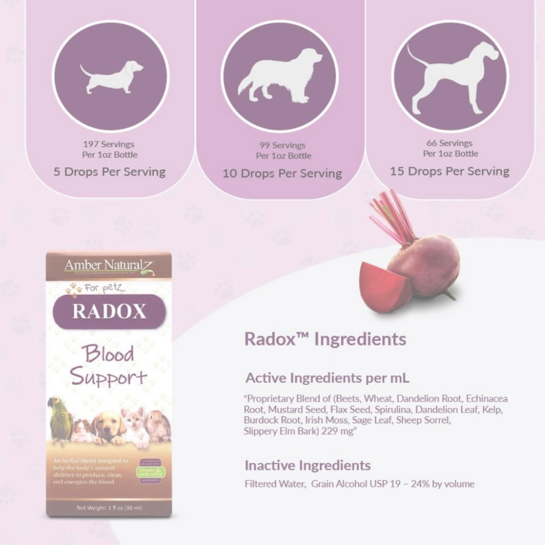 Amber Naturalz Radox | Blood Health + Circulation