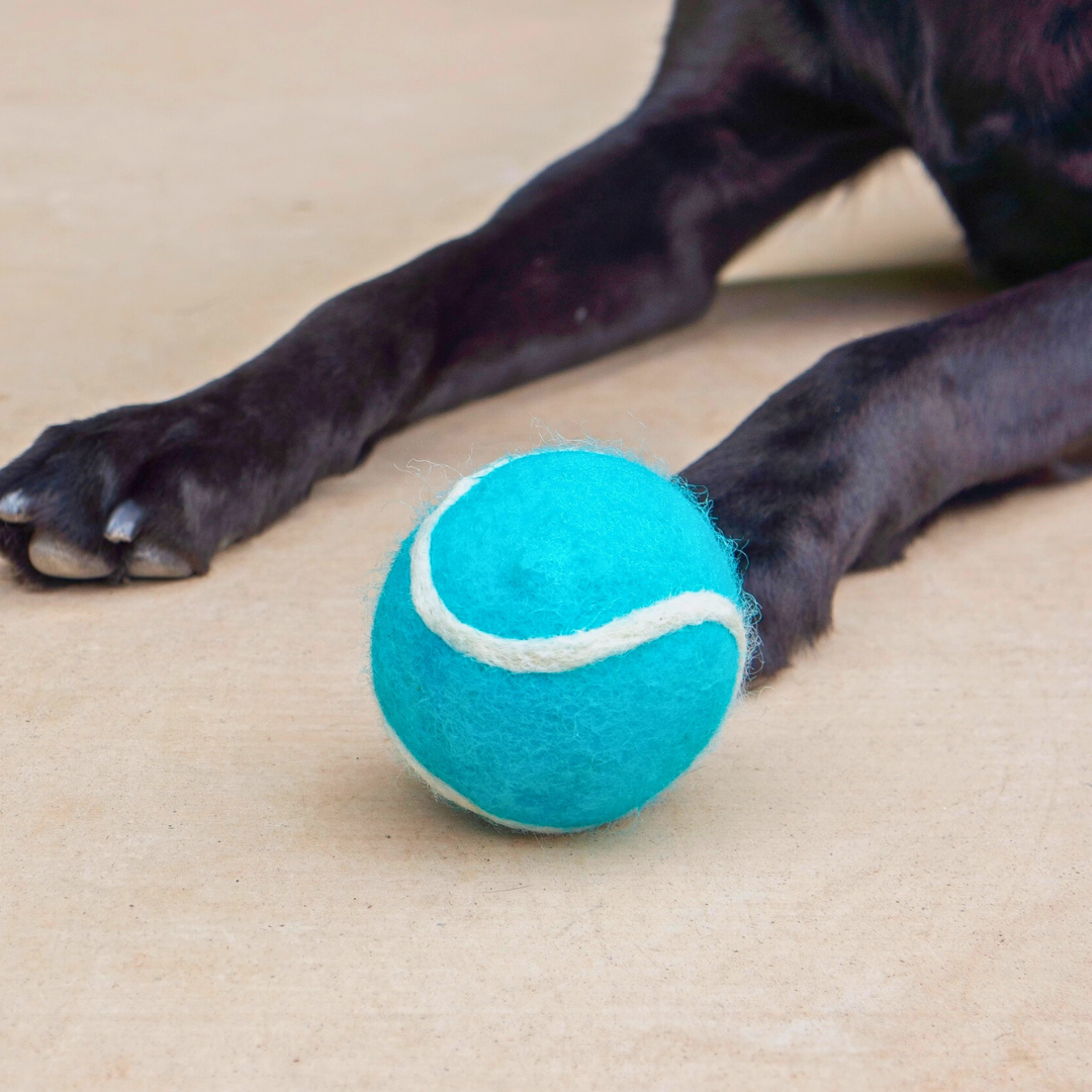 Friendsheep Organic Wool Tennis Dog Ball | Blue