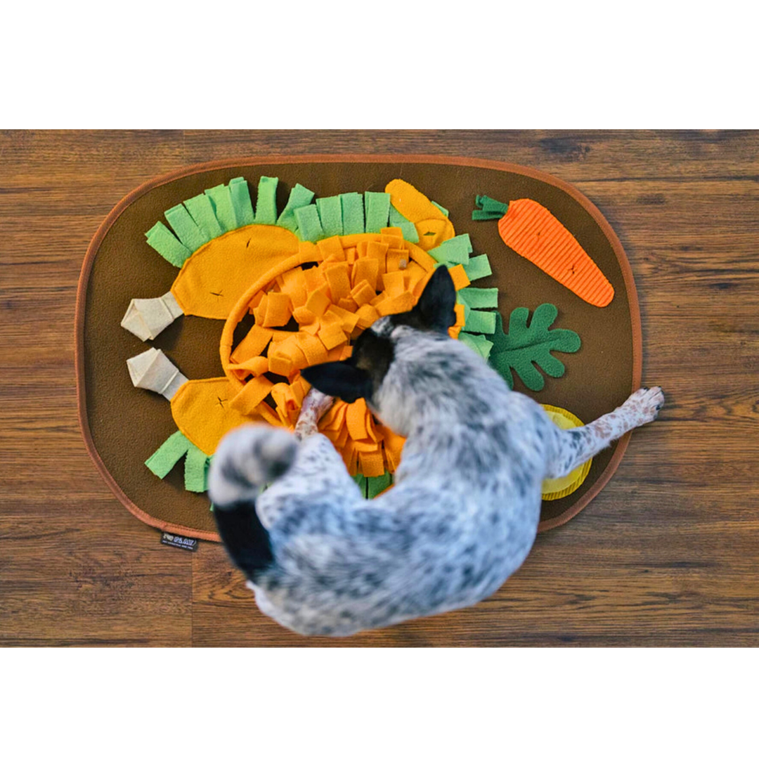 PLAY Thanksgiving Snuffle Mat