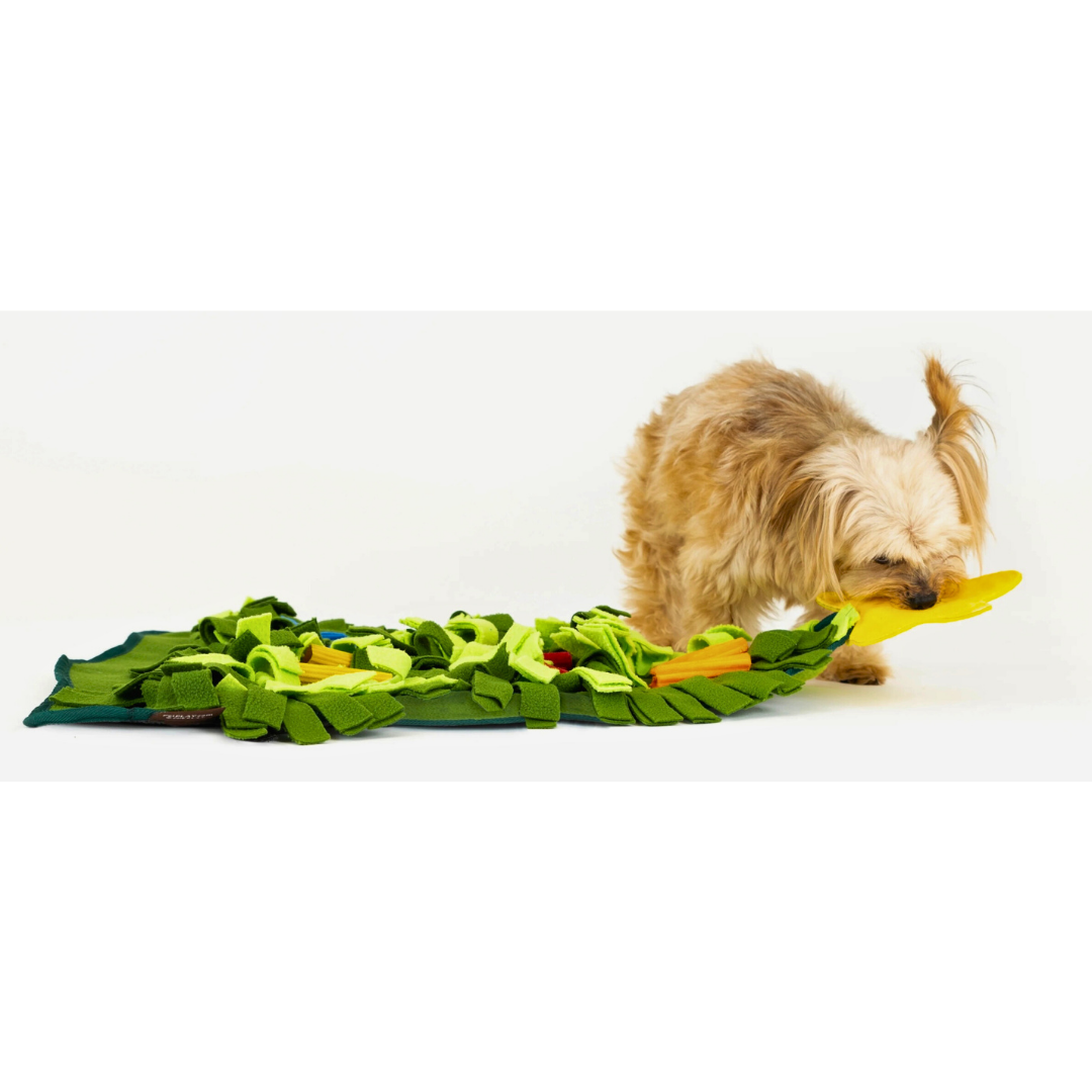 PLAY Holiday Snuffle Mat