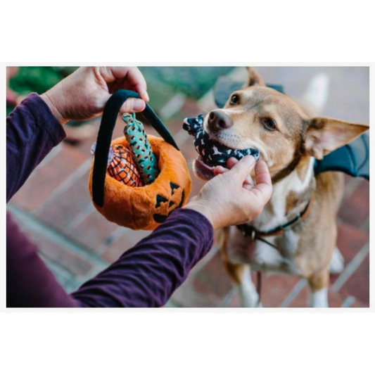 Howl-o-ween Treat Basket Plush Toy