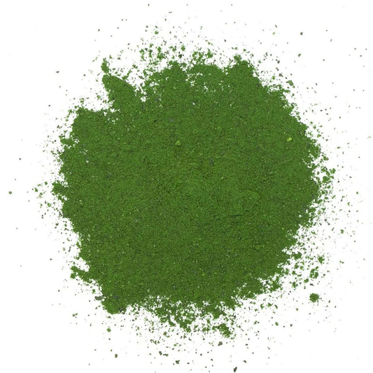 Phyto Synergy | Marine Phytoplankton Antioxidant