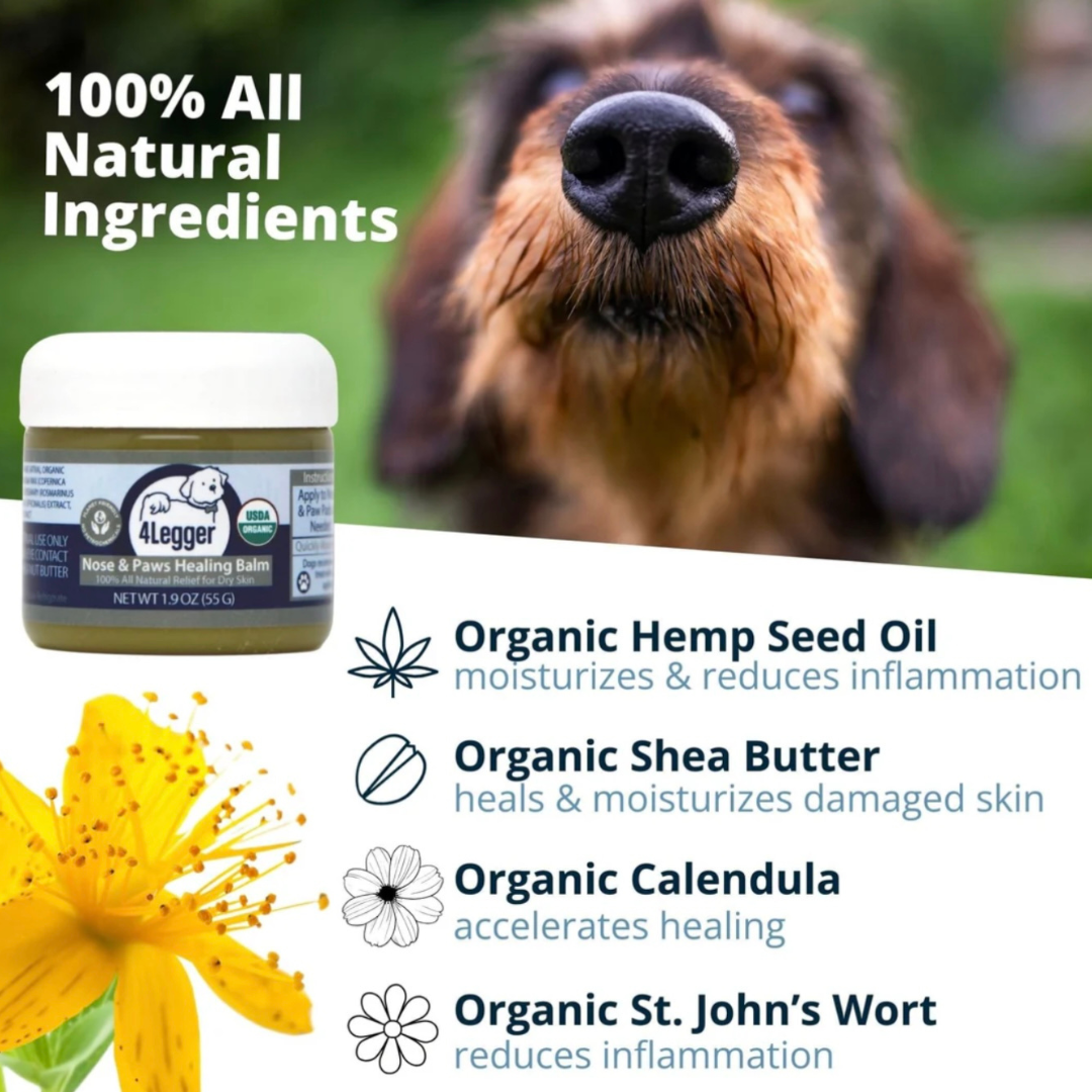 4-Legger Organic Healing Balm | Nose & Paw Pads