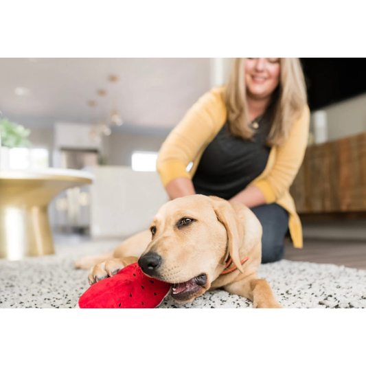 Wagging Watermelon Plush Toy