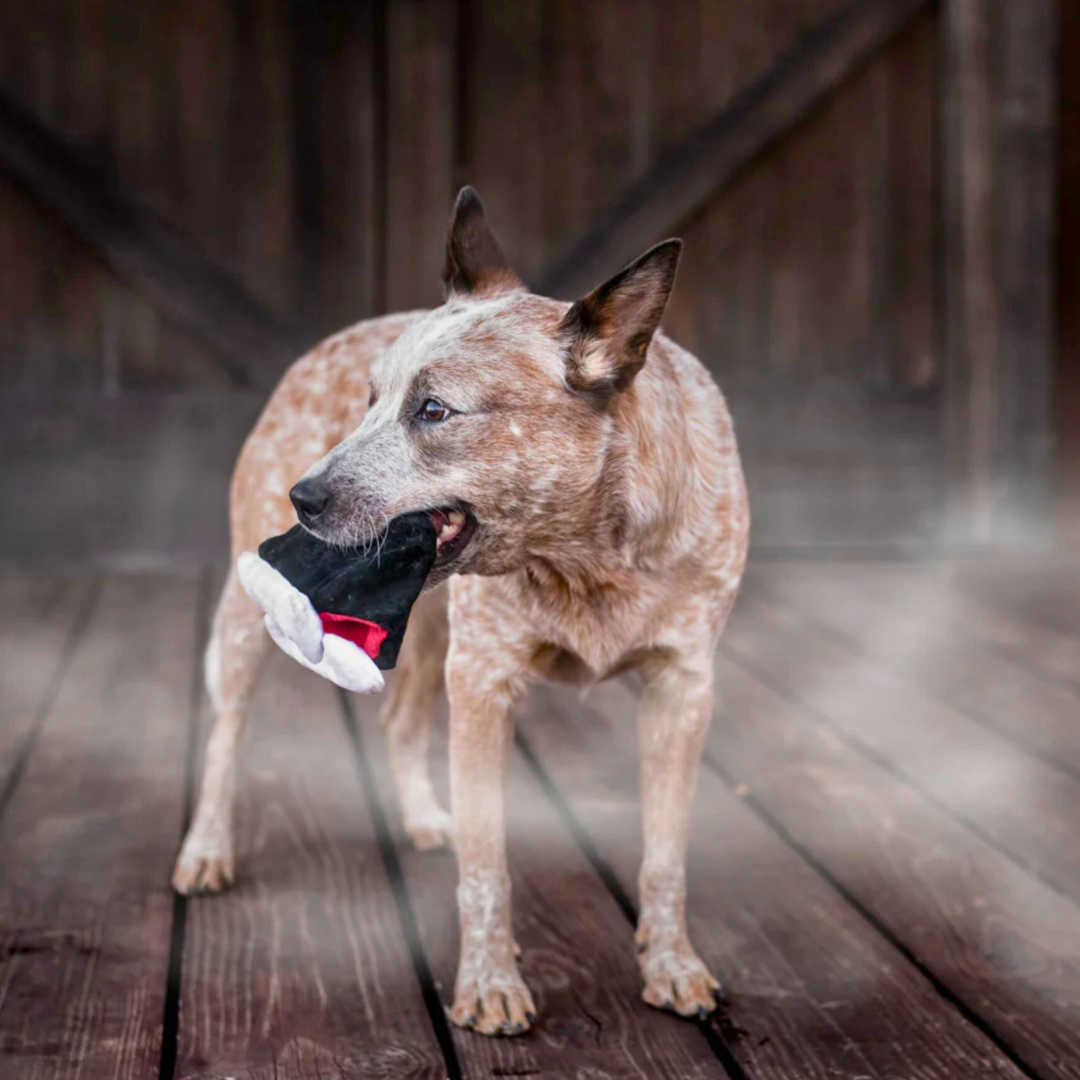 PLAY Barky's Bite