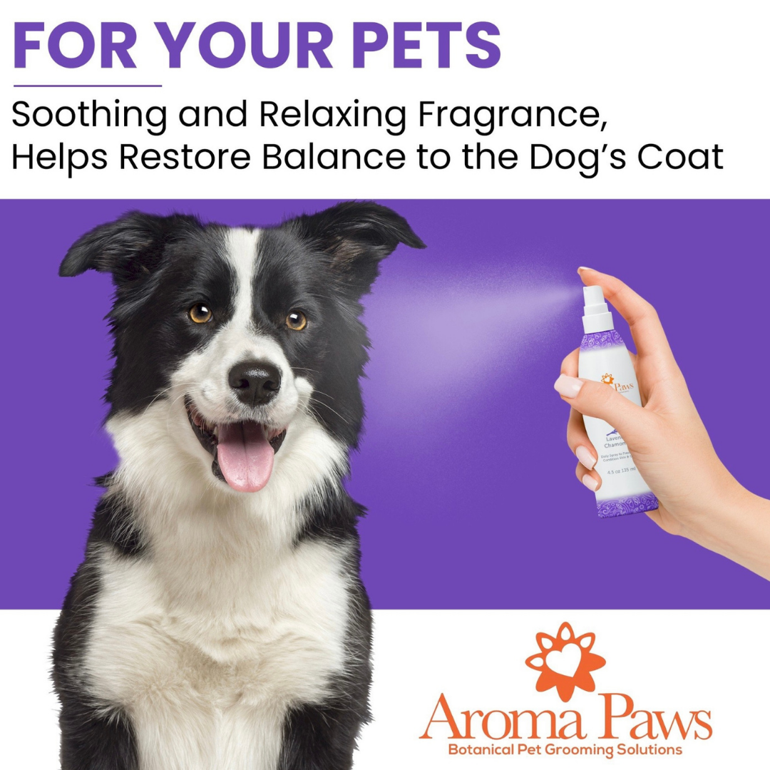 Aroma Paws Dog Coat Spray | Lavender Chamomile