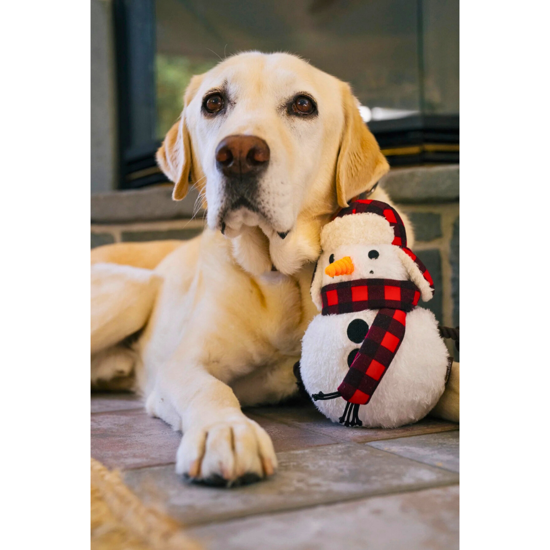 PLAY Blizzard Buddy