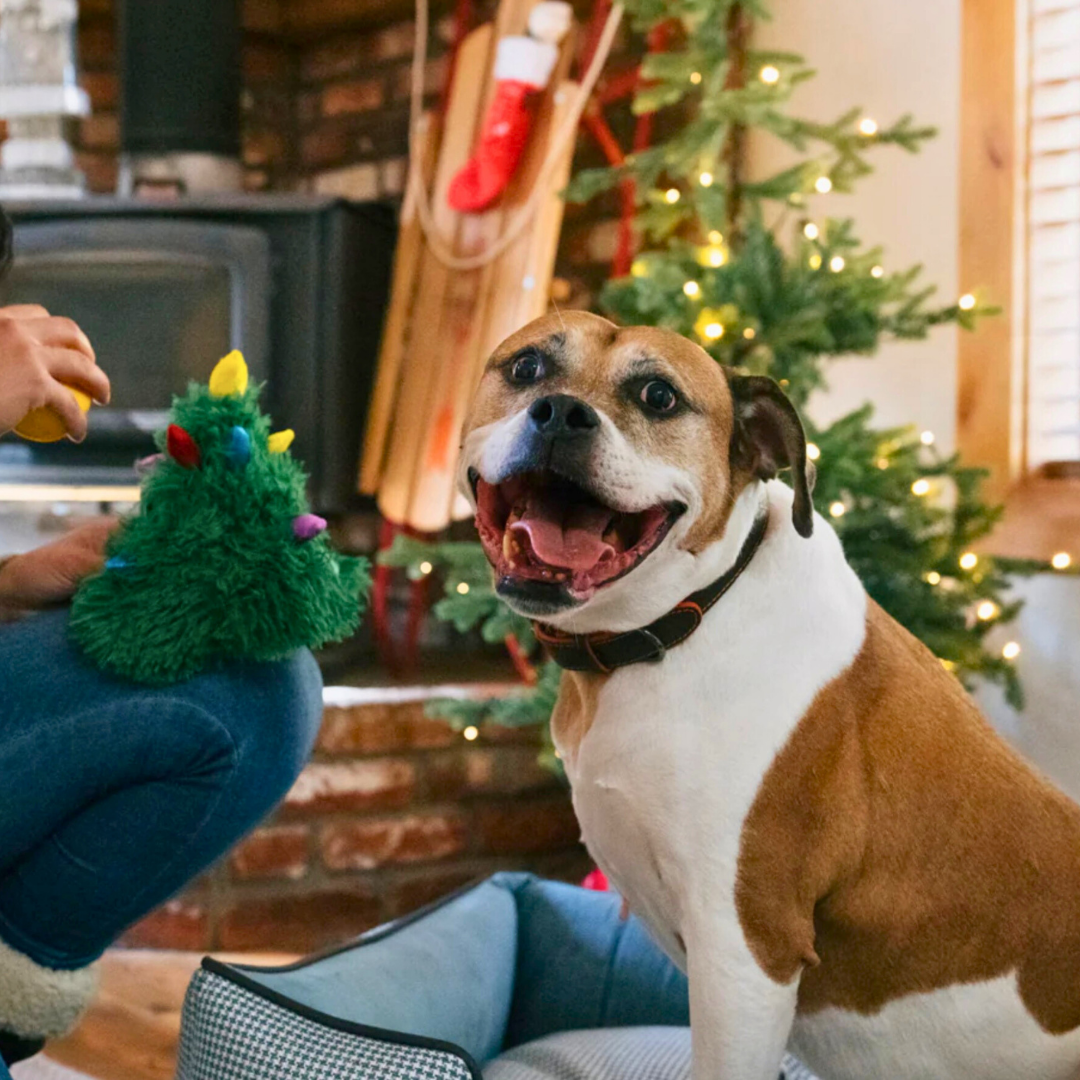 PLAY Merry Woofmas Doglas Fur