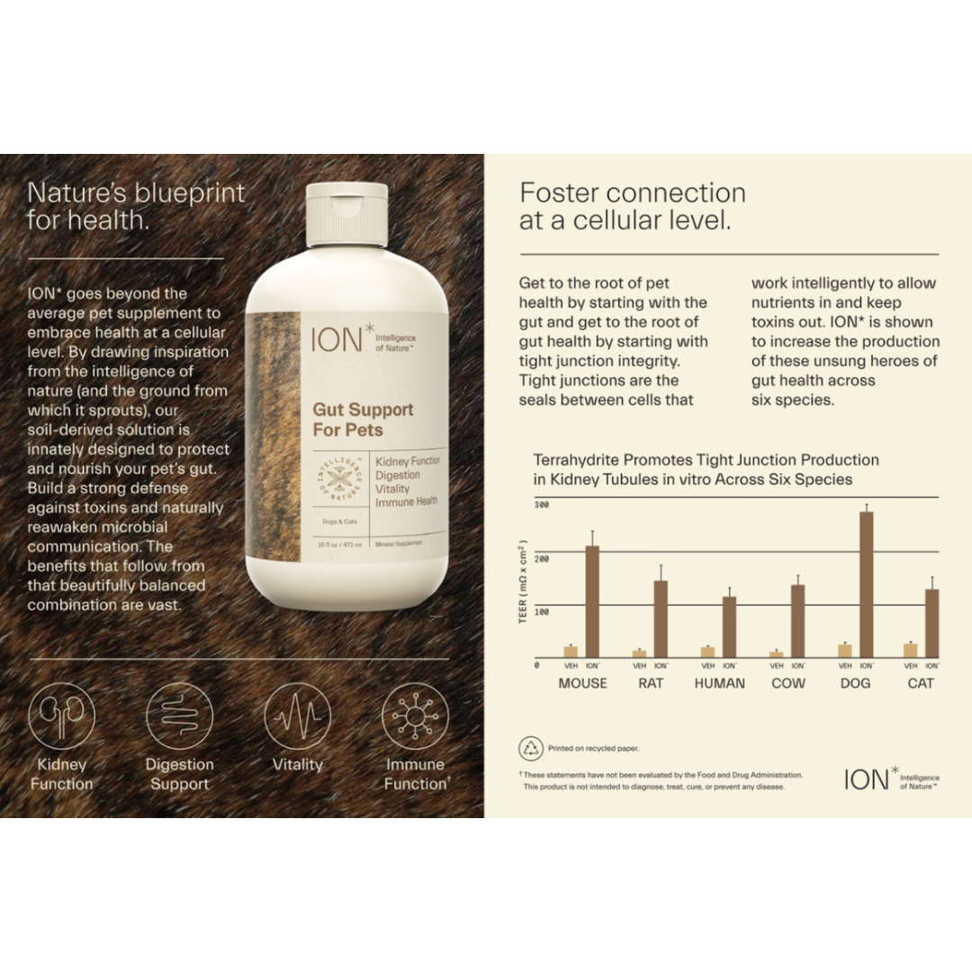 ION* | Soil-Derived Supplement for Gut Health + Toxin Defense + Nutrient Absorption