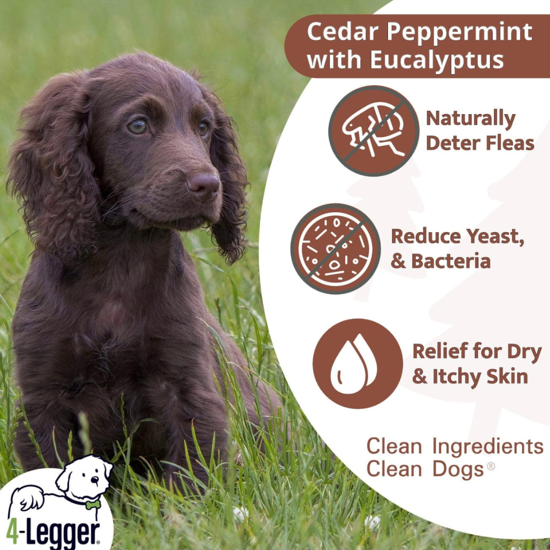 4-Legger Organic Conditioning Shampoo | Cedar + Peppermint + Eucalyptus