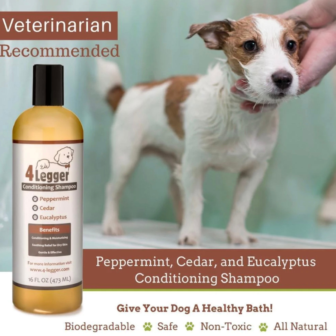 4-Legger Organic Conditioning Shampoo | Cedar + Peppermint + Eucalyptus