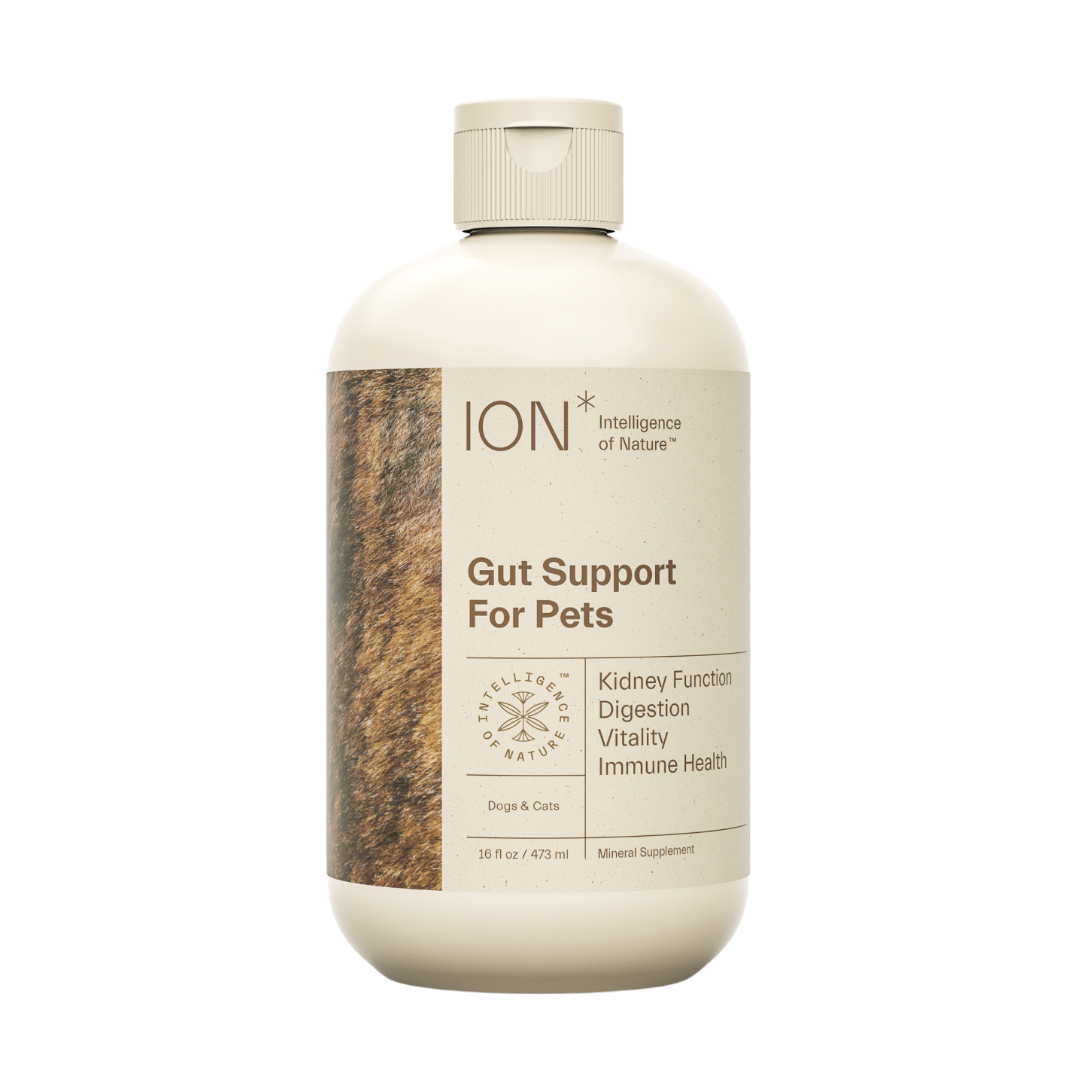 ION* | Soil-Derived Supplement for Gut Health + Toxin Defense + Nutrient Absorption