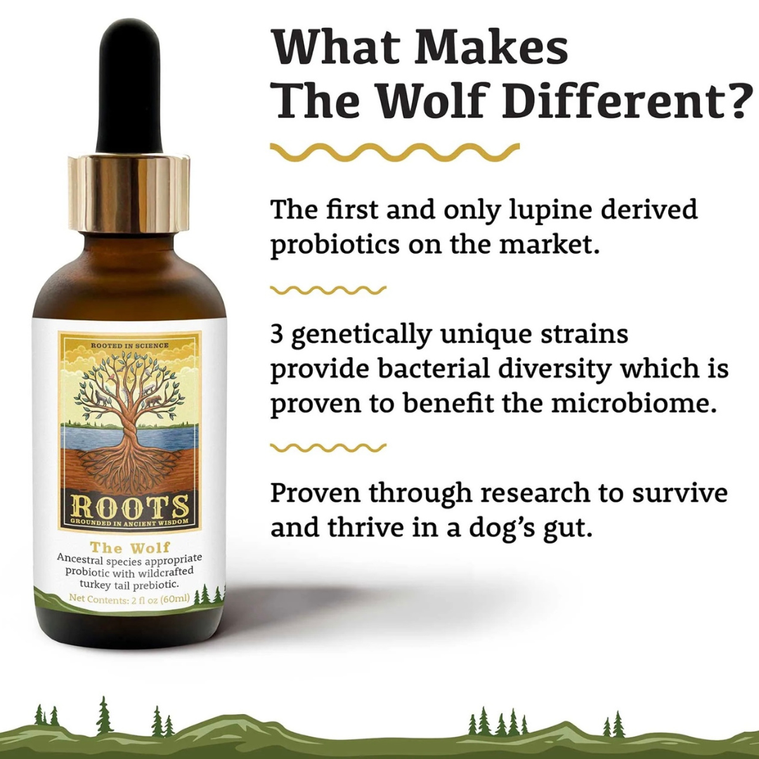 Adored Beast The Wolf | Ancestral Gut Health + Immune Support