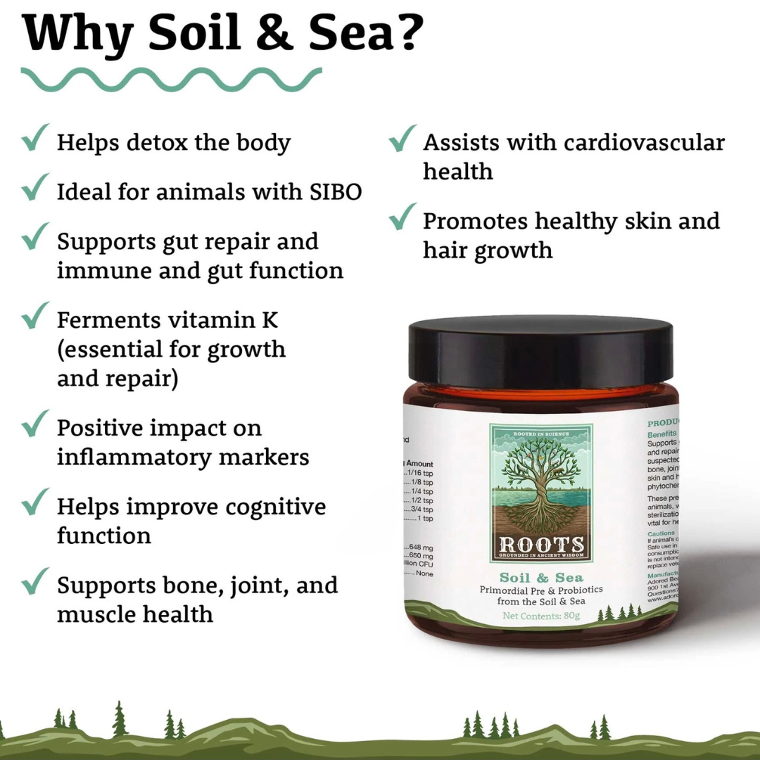 Adored Beast Soil & Sea | Primordial Pre + Probiotics