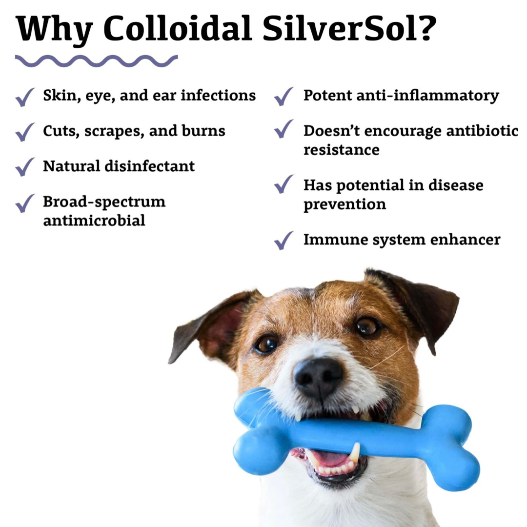 Adored Beast Colloidal Silver | Immune Support + Skin Relief