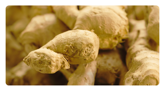 Ginger for Dogs: The Natural Superfood for Soothing Pain, Easing Nausea, and Boosting Health