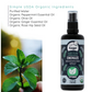 4-Legger Organic Deodorizing Spray | Energize