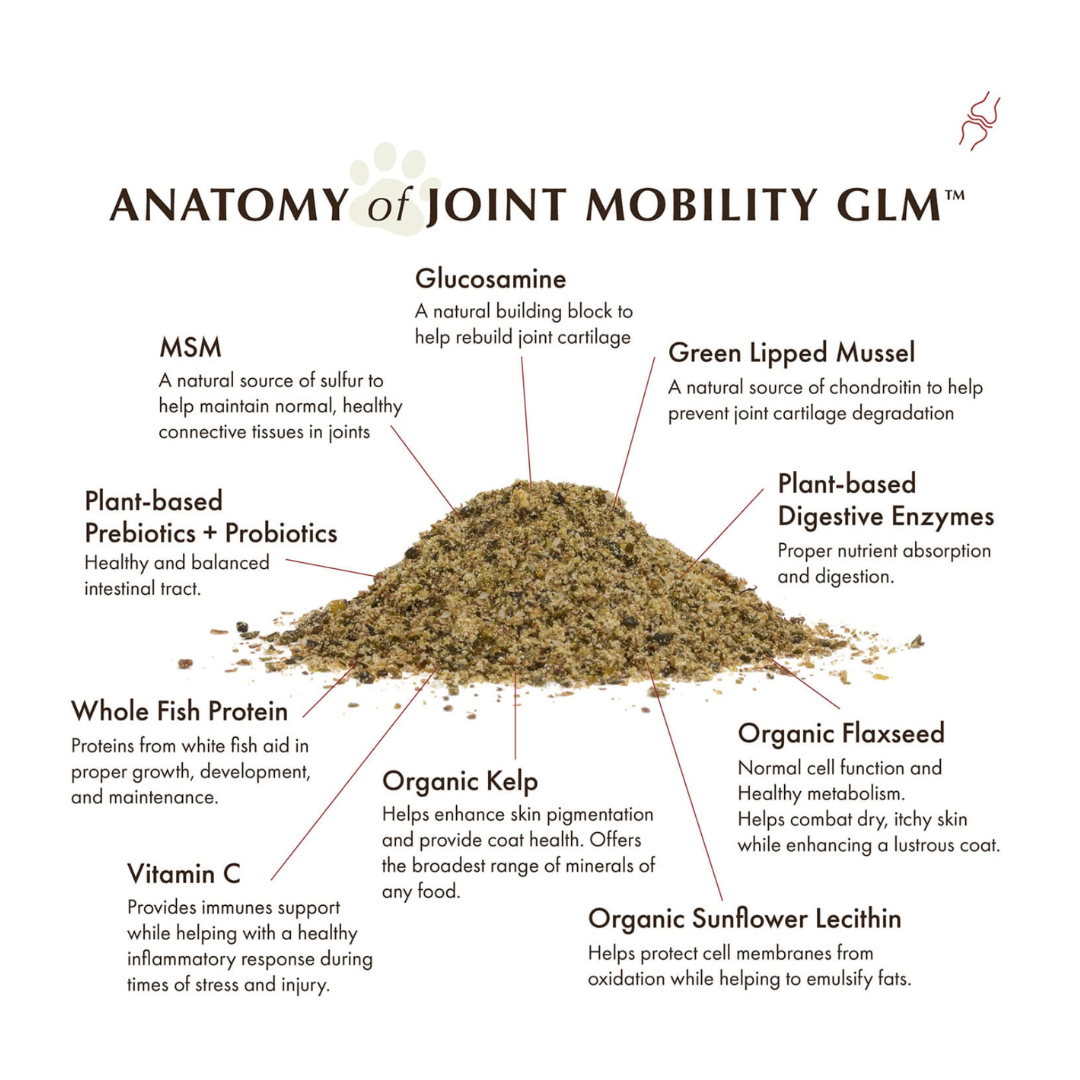 Wholistic Pet Organics Joint Mobility GLM