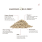 Wholistic Pet Organics Run Free | Natural Targeted Joint Support With Glucosamine, Chondroitin & MSM