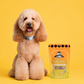 Golden Health Organic Functional Treats