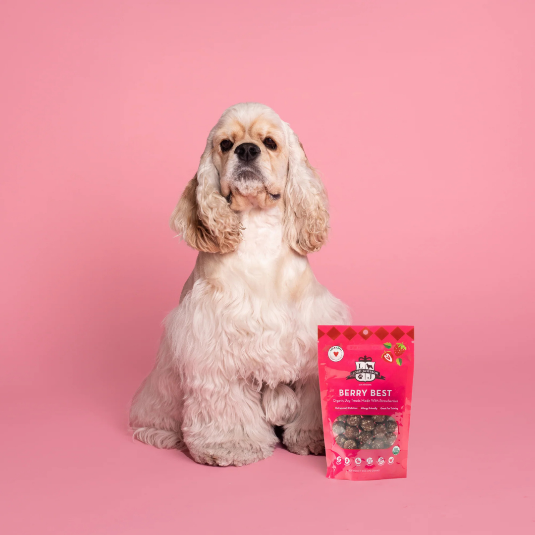 Berry Best Organic Treats