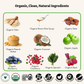 Apple Pops Organic Treats