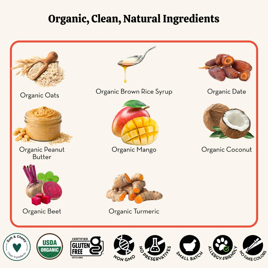 Mango Pops Organic Treats