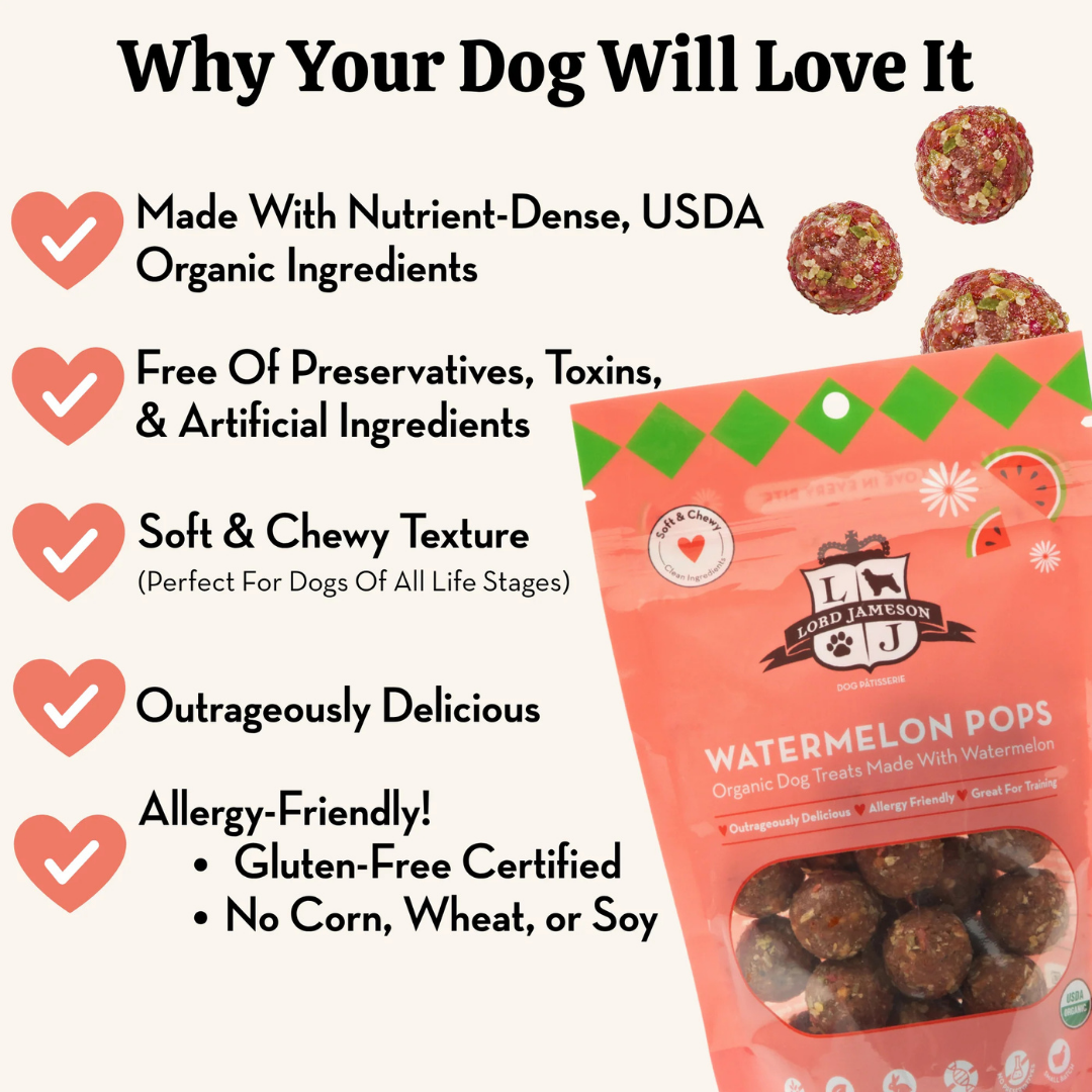 Watermelon Pops Organic Treats