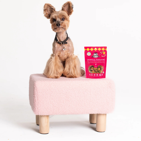 Tropical Paradise Minis Organic Treats