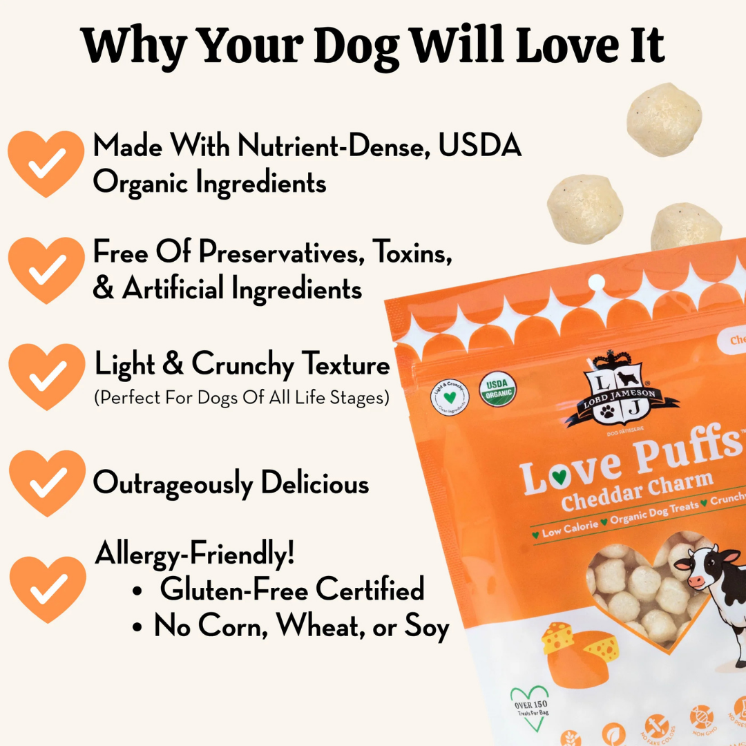 Cheddar Charm Protein Love Puffs | Organic Cheddar Cheese